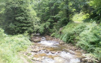 Dolina Białej Wisełki – najpiękniejsze miejsce w Wiśle