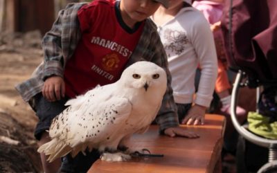 Park Pełen Niespodzianek