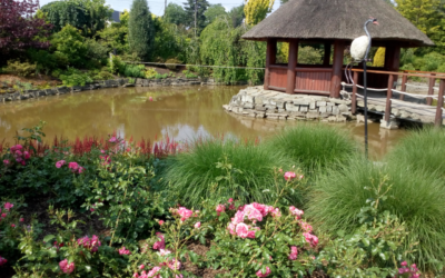 Malownicze ogrody w Goczałkowicach